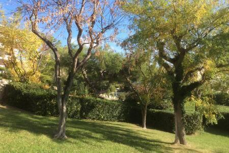Cassis 4Pers Vue Mer Wifi Tennis Parking Piscine Exterior foto